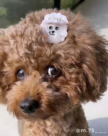 Photo by LiLi et NENE